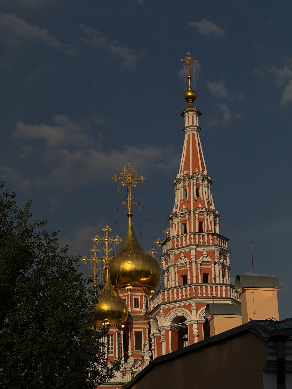 Dog named Bobo plays near Moscow Kremlin landmarks