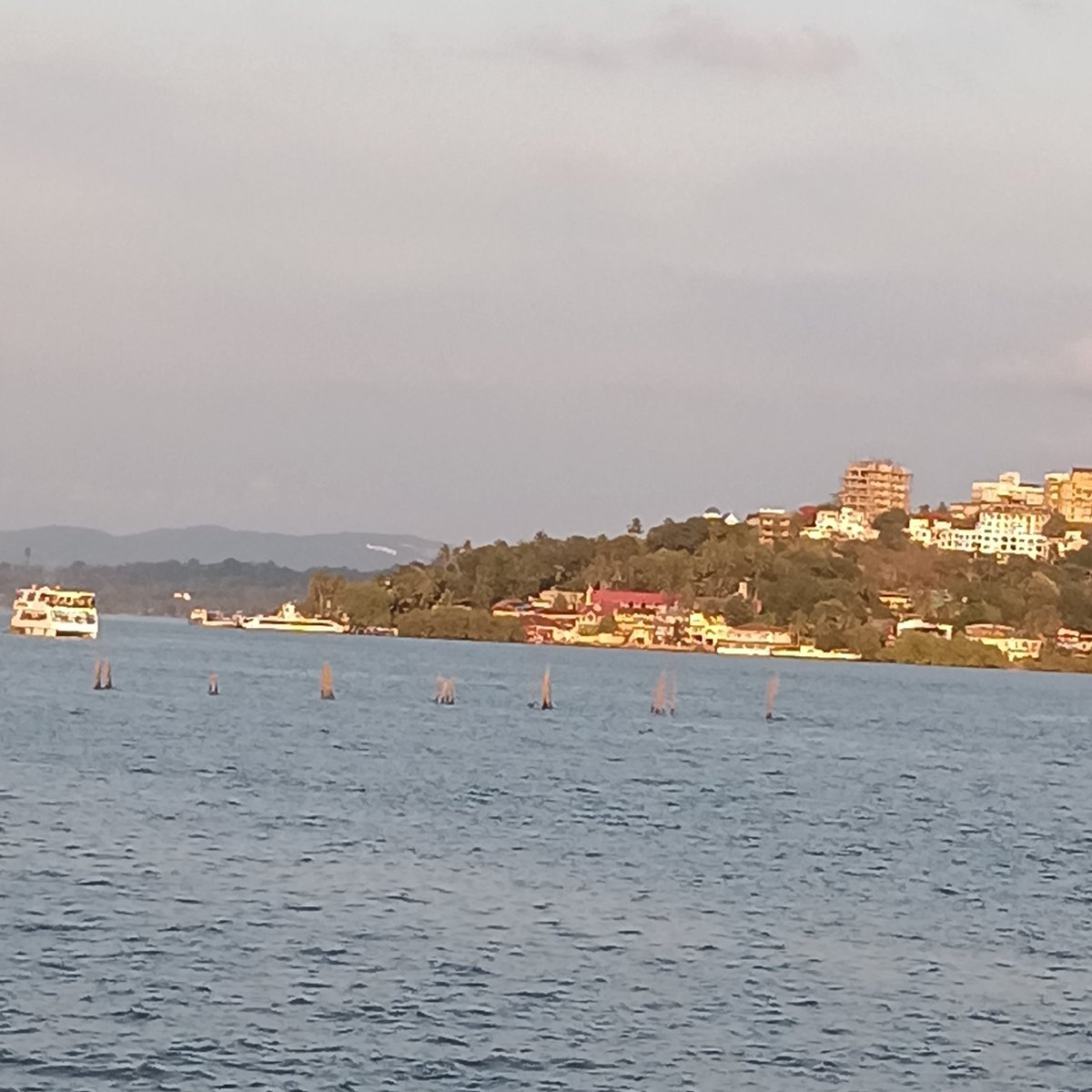 Boat excursion with photography session documented on Mandovi River, Goa