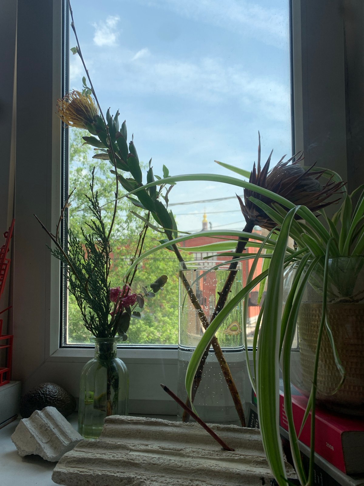 Cat receives attention by decorated window in Moscow home