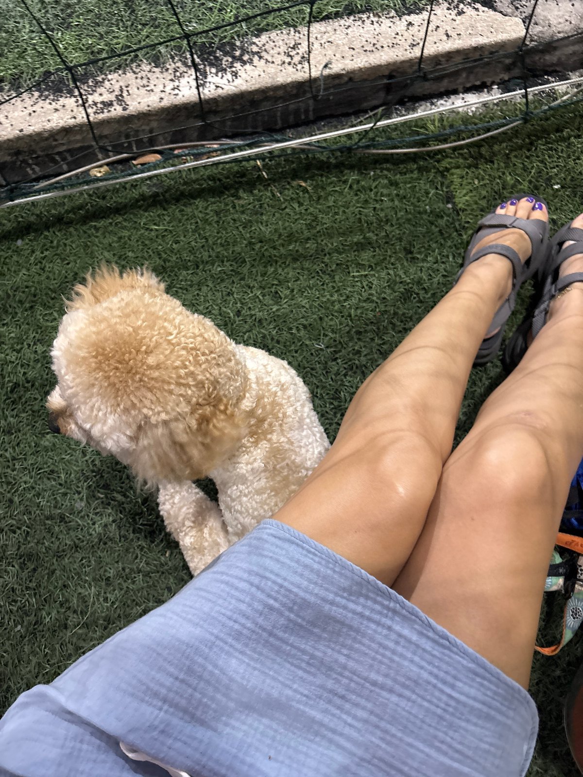 Woman and poodle enjoy quiet moment in Bắc Nha Trang