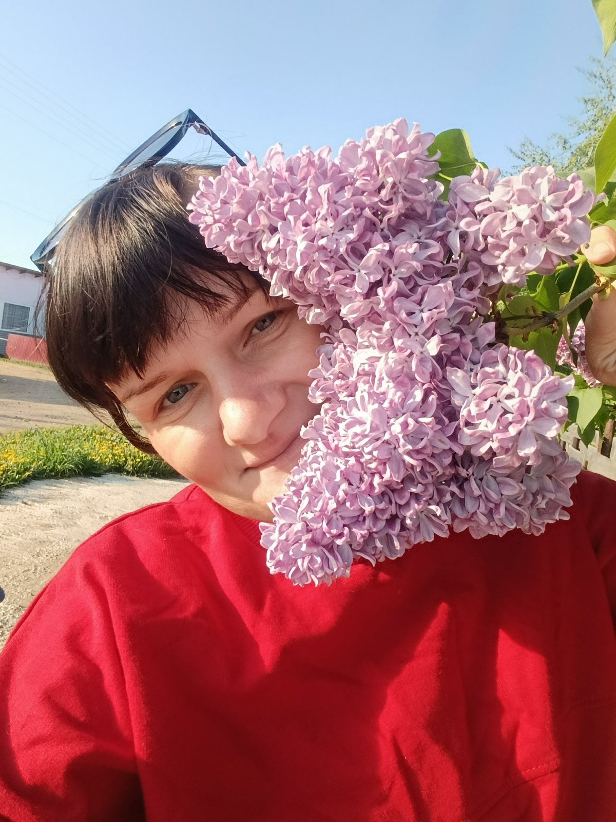 Person photographs sunrise moments with lilacs in rural Russia