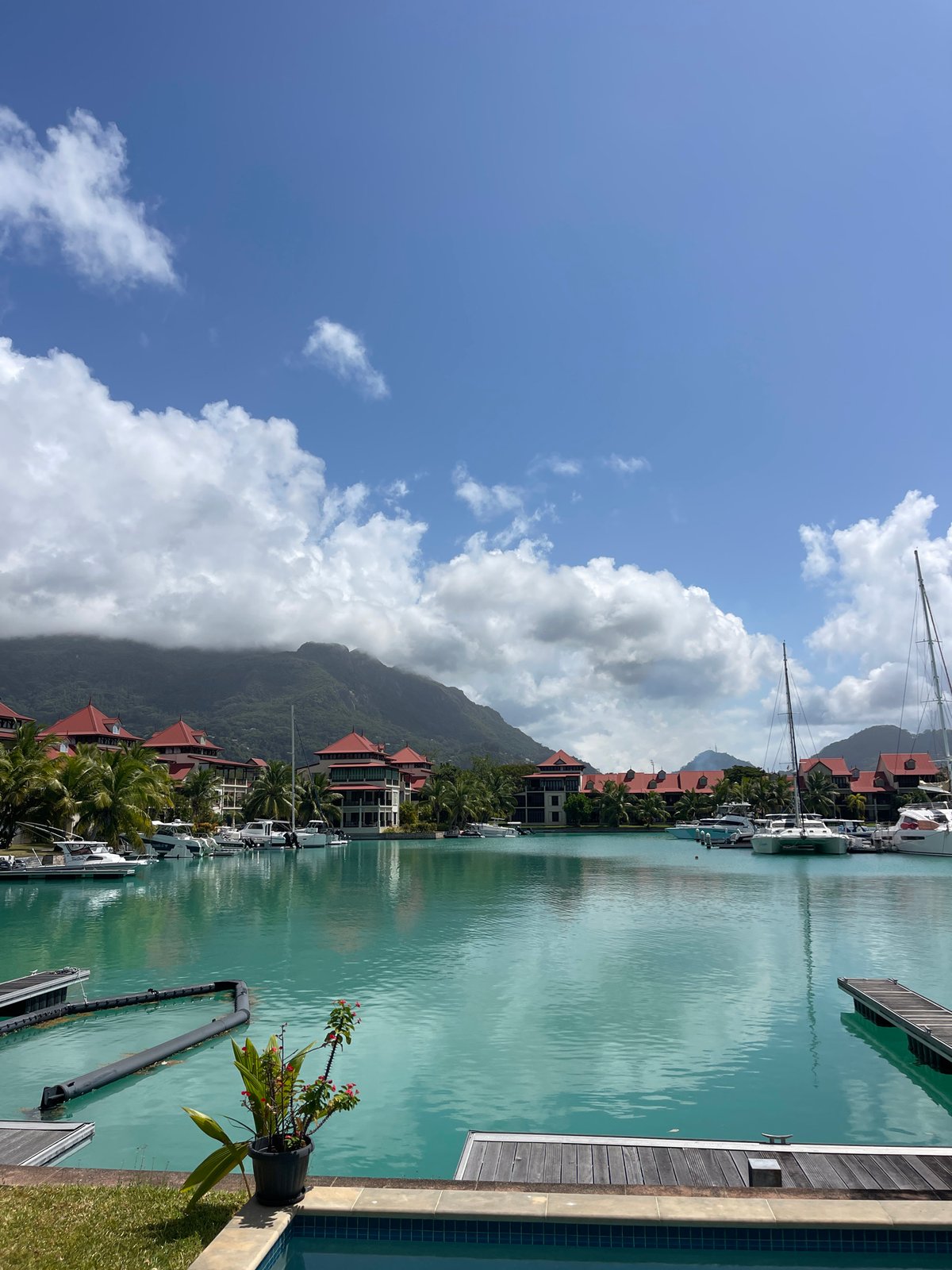 Poolside views of Victoria's marina with mountain backdrop