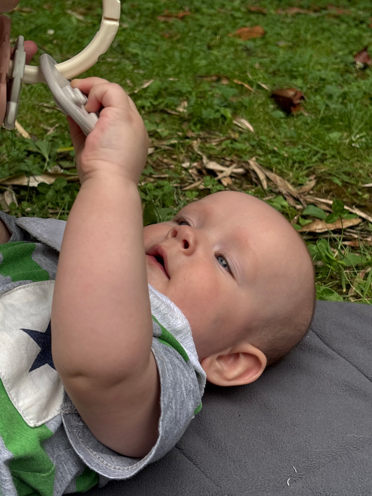 Afternoon in a Sochi park with a baby and blooming oleanders