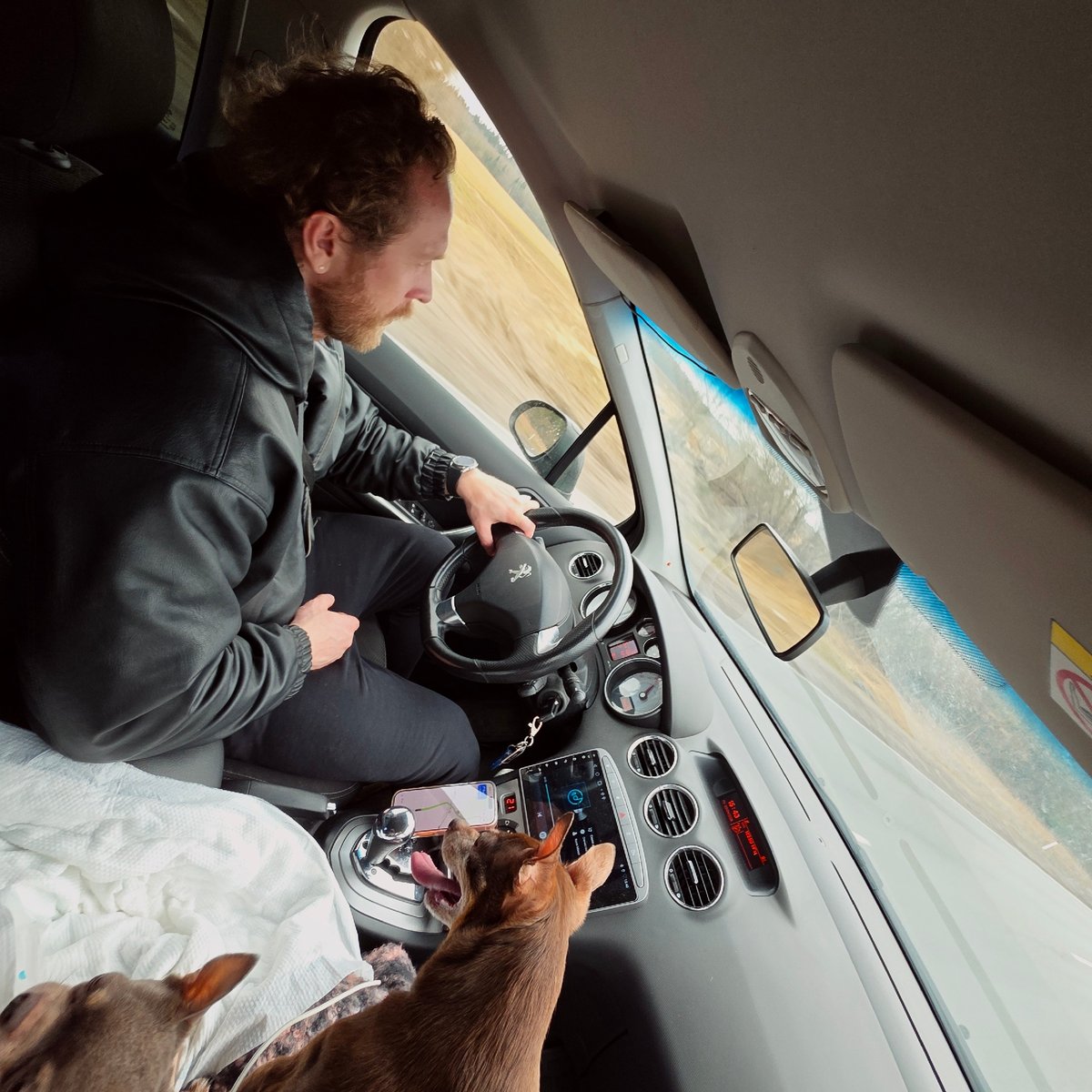 Driver travels with two small dogs in Peugeot through Gubanitsi