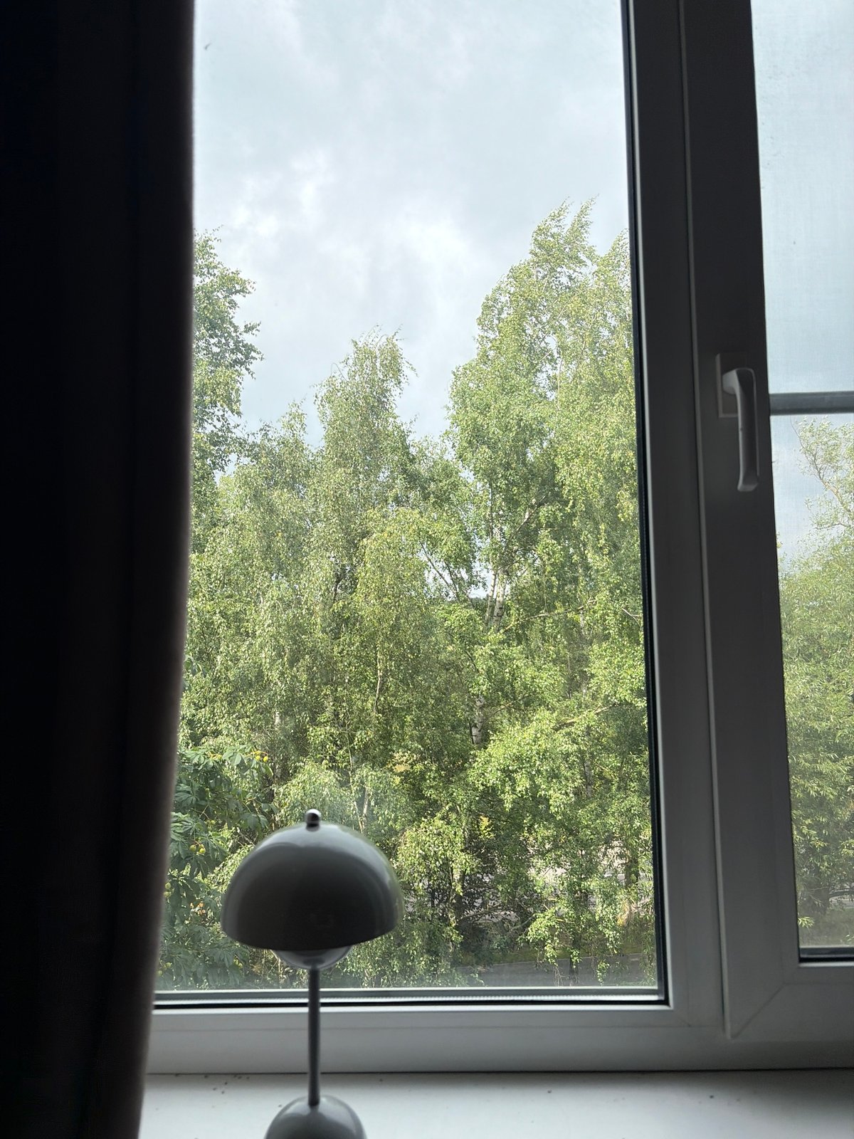 Window view onto green treetops in Krasnogorsk