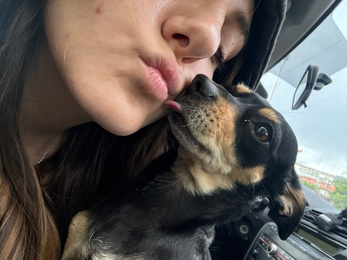 Woman and dachshund puppy share quiet moment in car