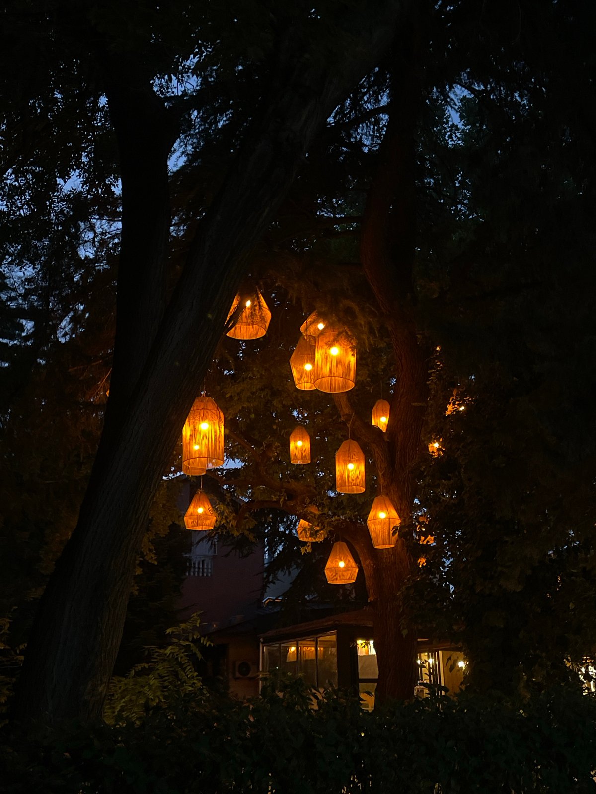 Tbilisi at dusk: lantern-lit parks and khinkali