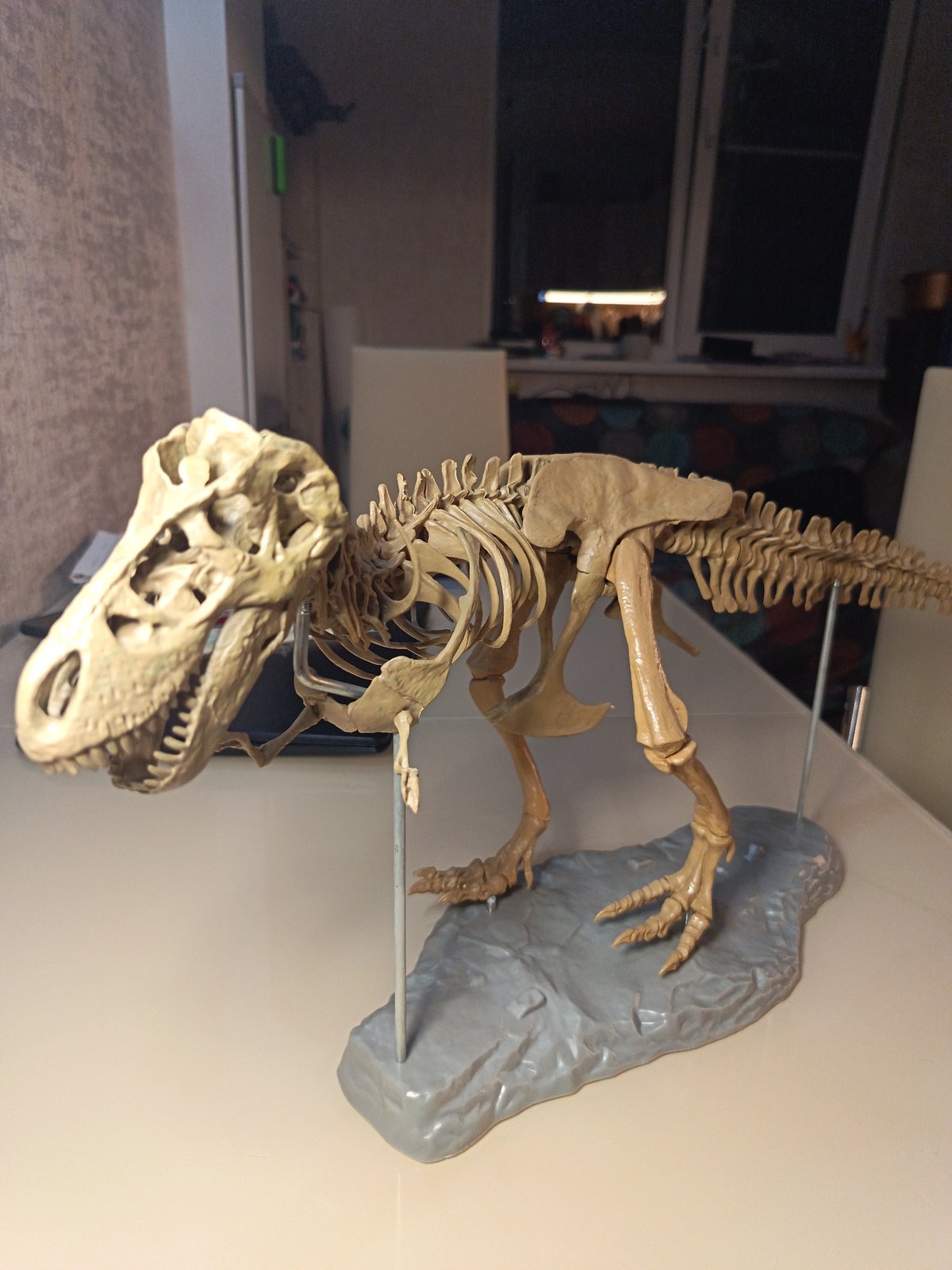 Family gathering with dinosaur exhibit documented in Sochi home