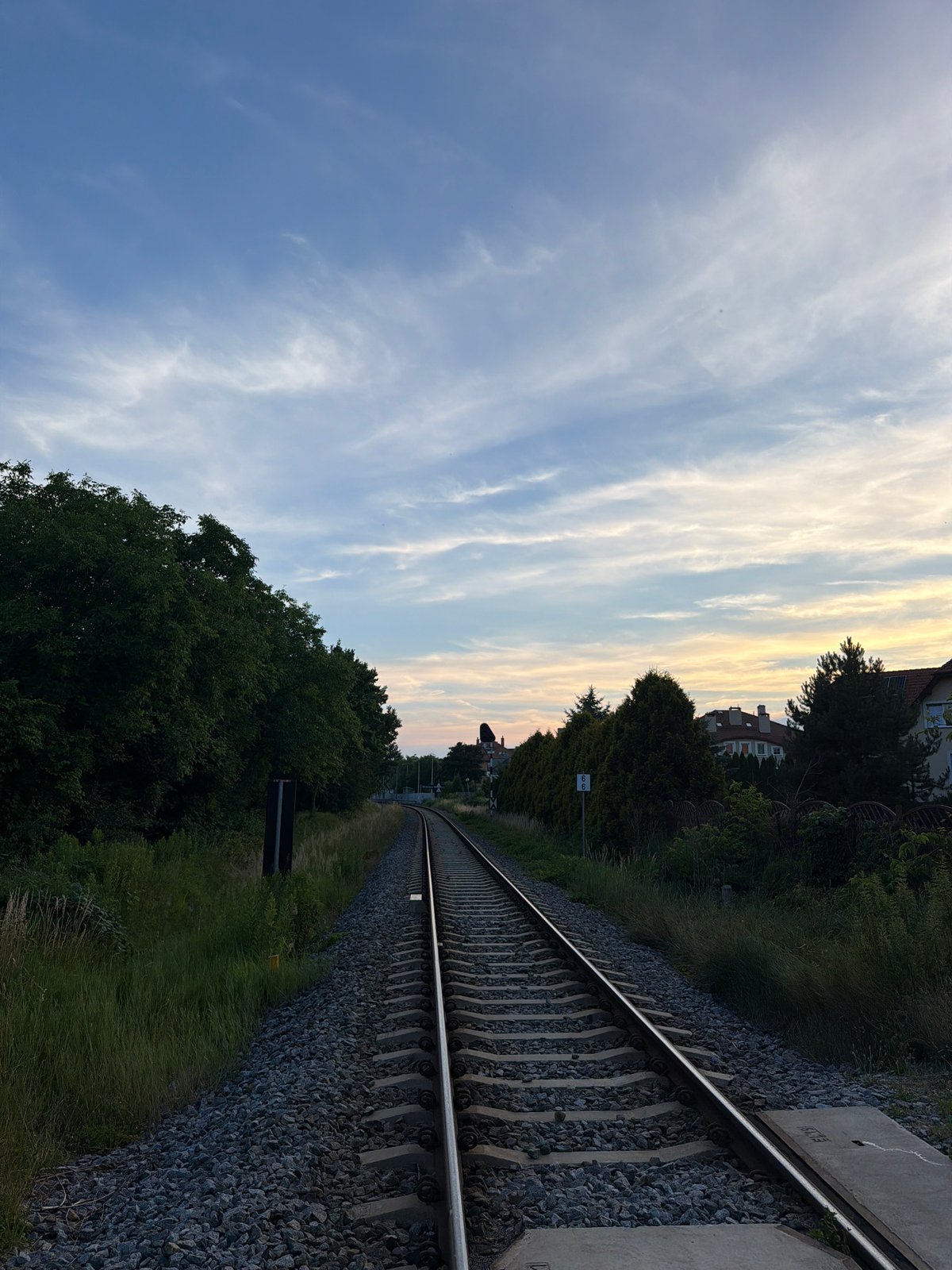 Evening wander: rail lines, spruce trees, and city edges at dusk