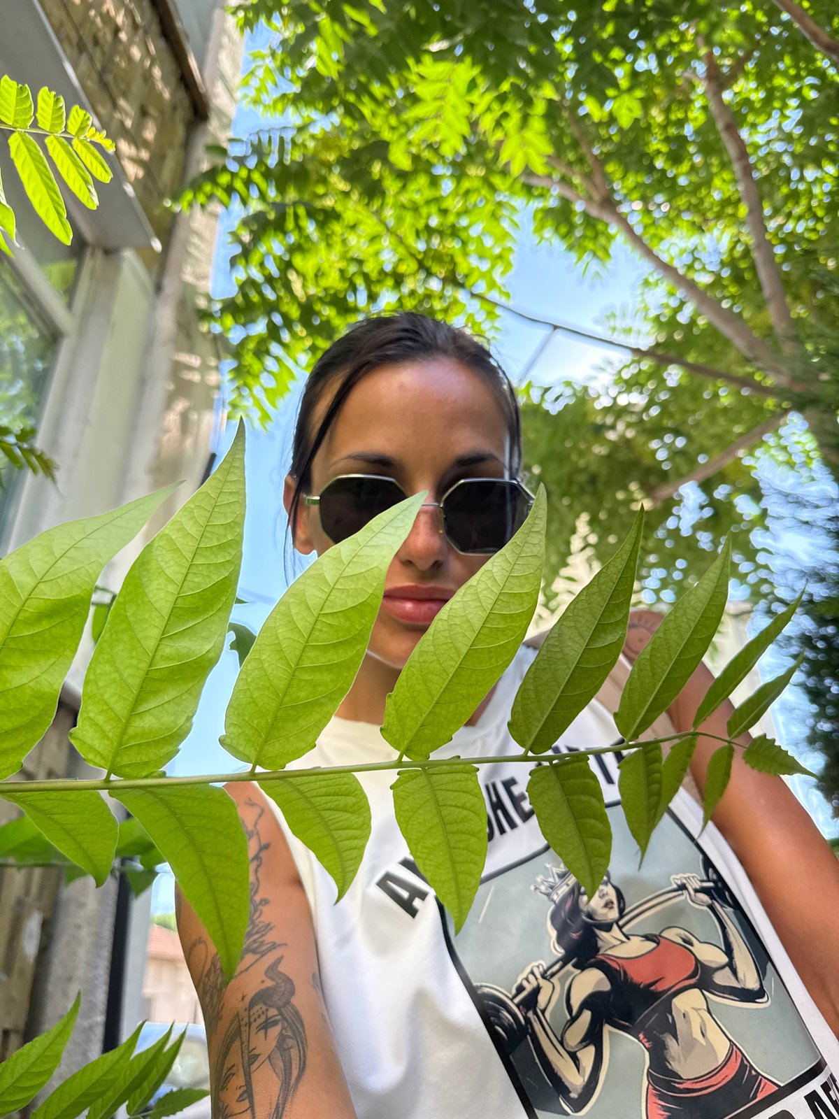 Quick summer moments around Pleven, Bulgaria