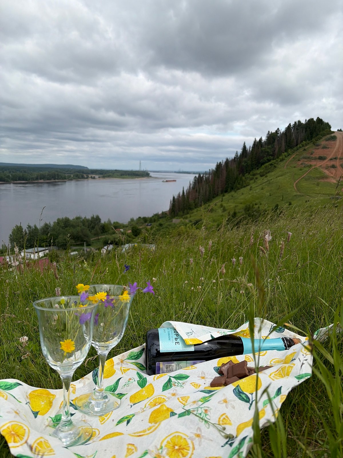 Woman documents champagne picnic with wildflowers overlooking Russian river