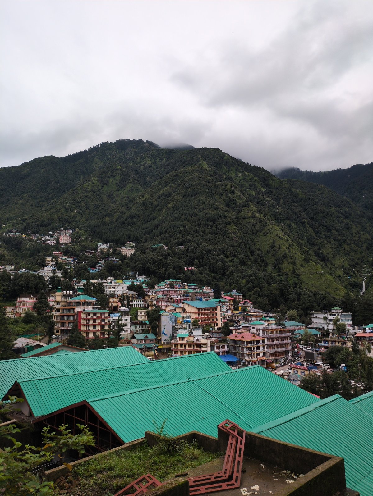 Bhagsu hillside: forest trails, winding roads, and construction