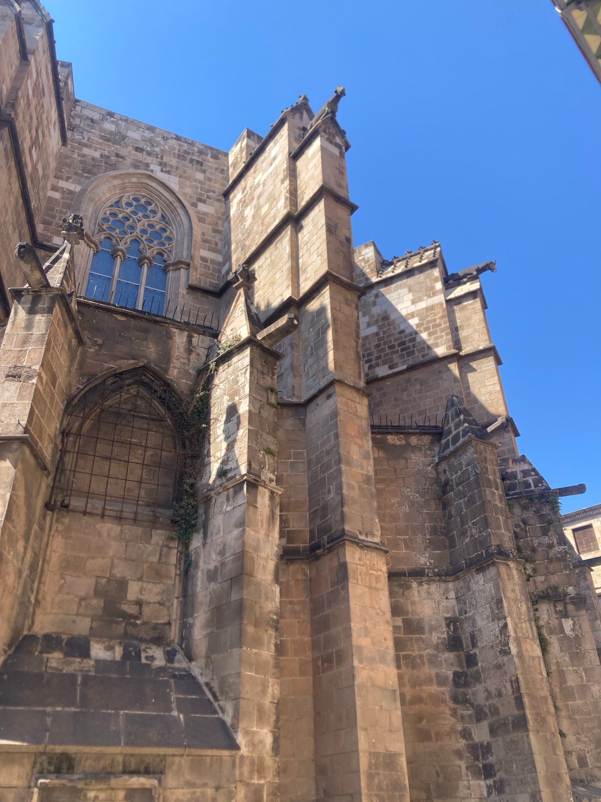 Deep dive into Barcelona's Gothic Quarter architecture