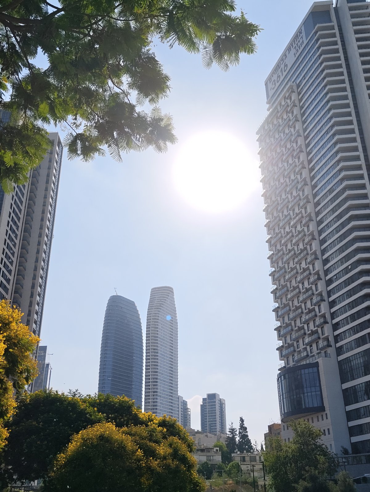 Tel Aviv skyscrapers shot from street level on a clear morning