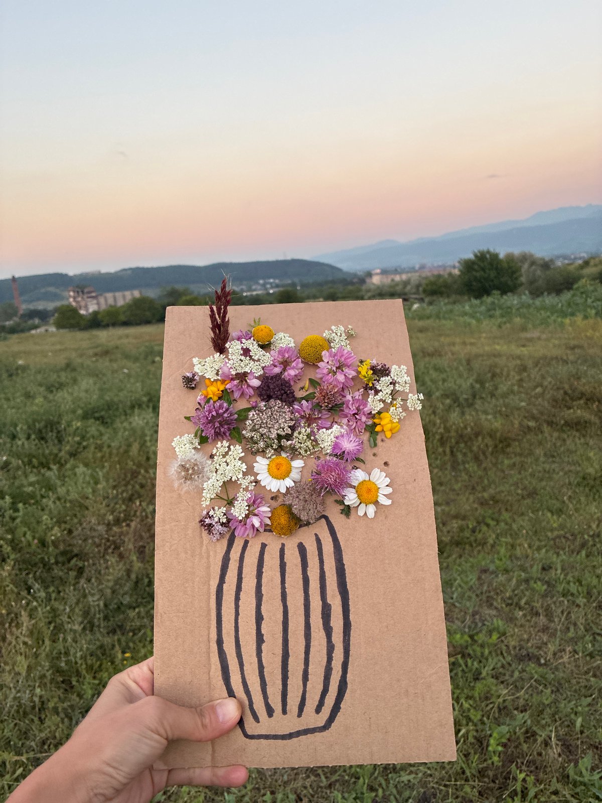 Wildflowers and teasels along rural roadsides in Georgian countryside