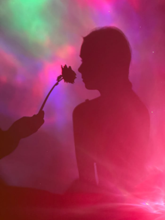 Shadow figures with roses perform against colorful light projections