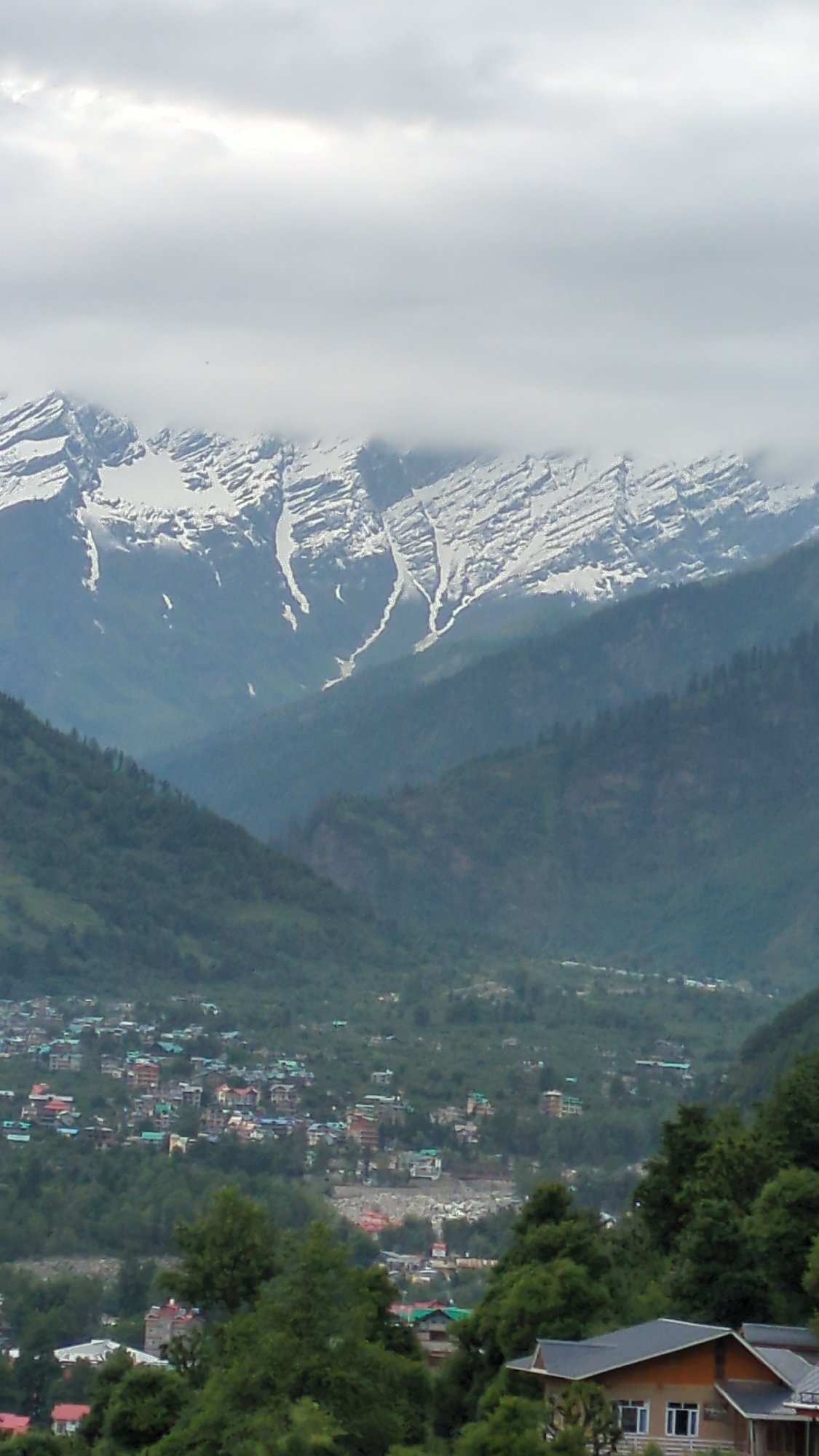 Vashisht village, Himalayan peaks, and a lone marigold