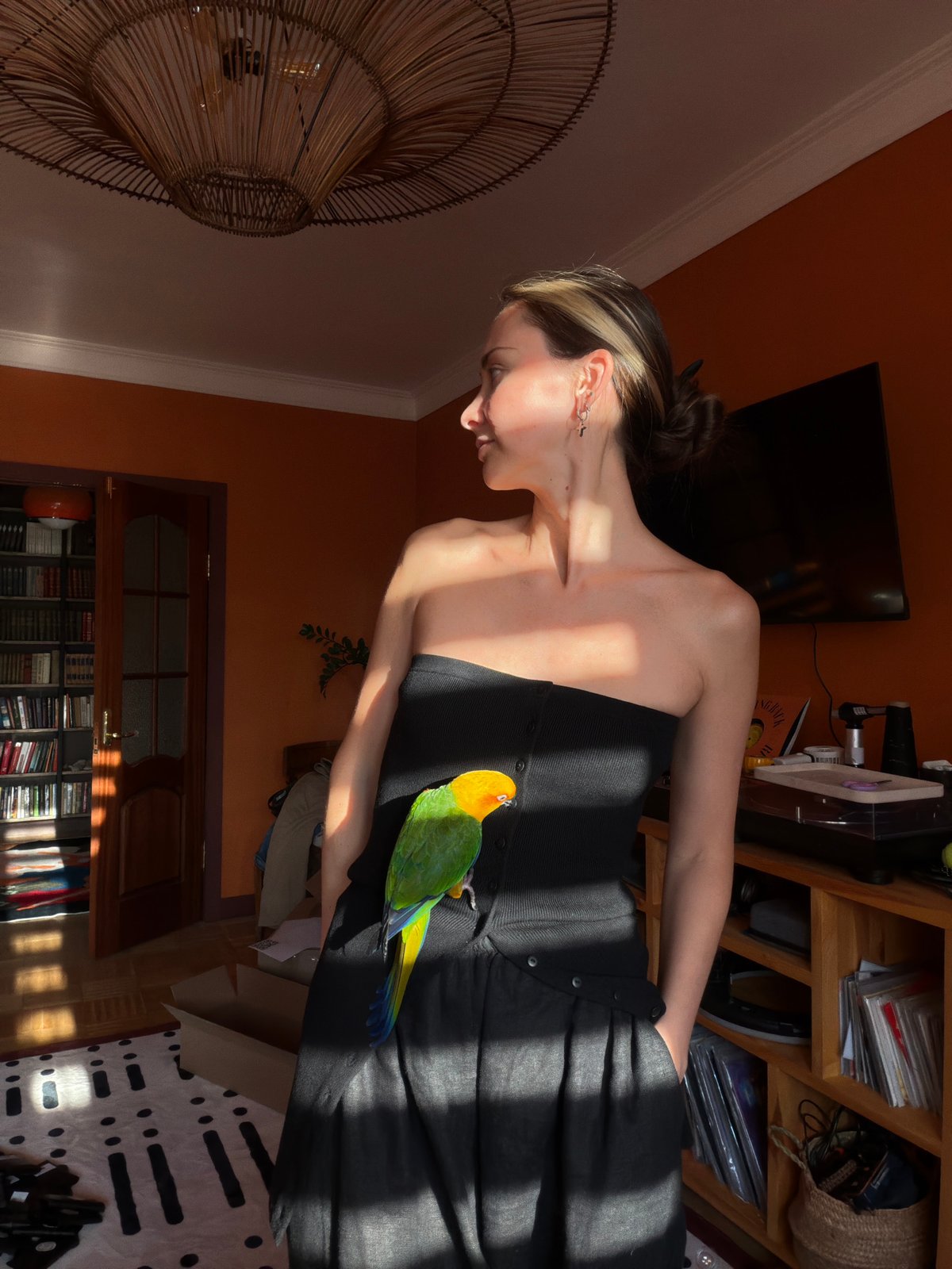 Green parrot hangs out with people indoors in Khimki