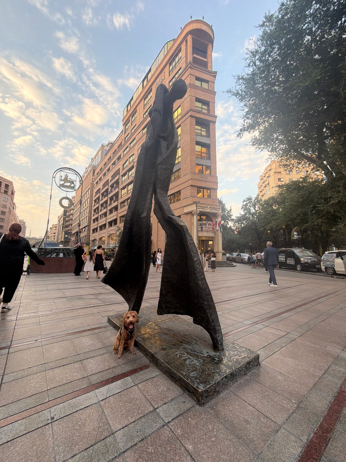 Poodle mix hangs out across a lively urban plaza