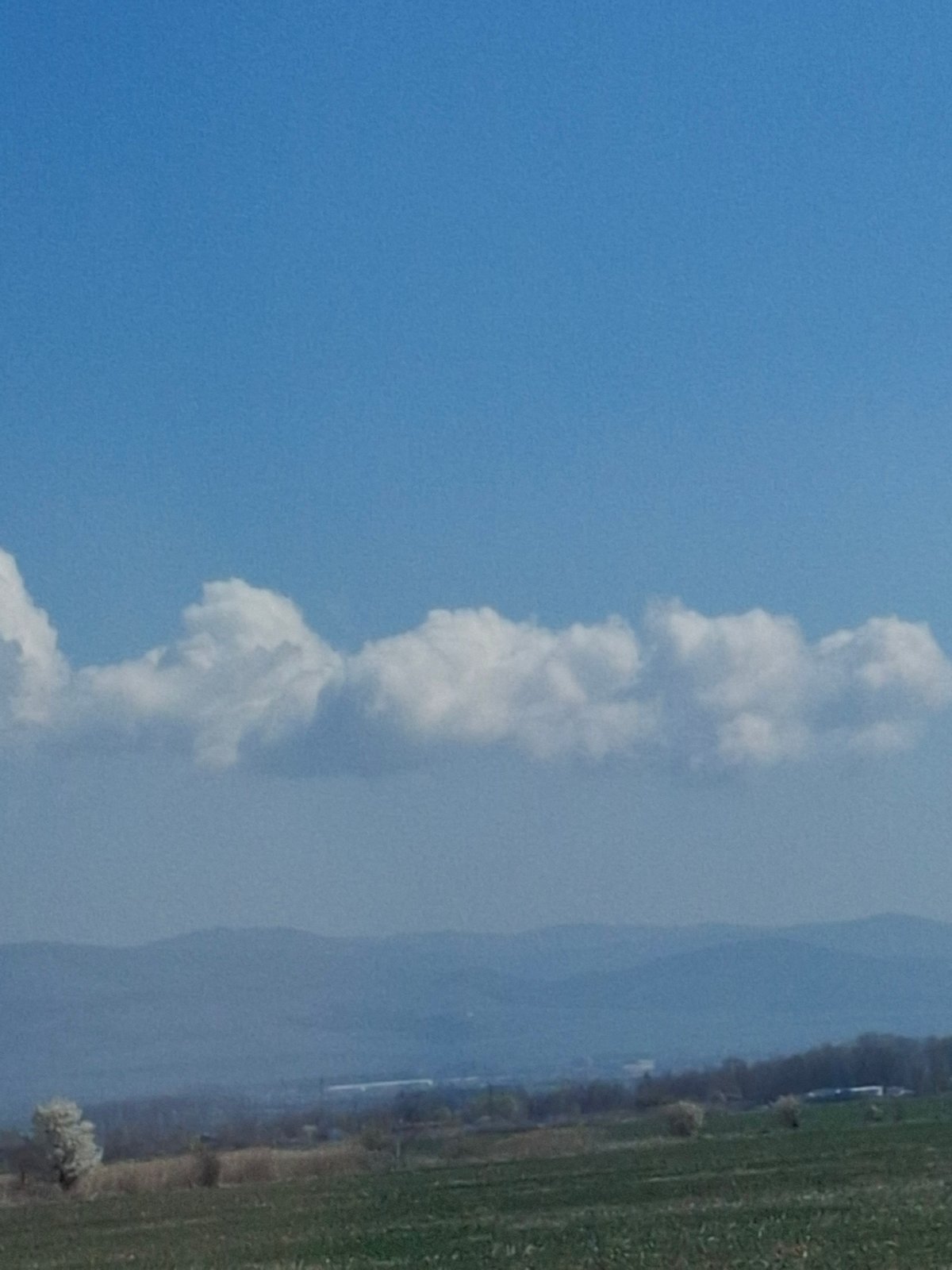 Cumulus cloud column observed over Krivina, Bulgaria