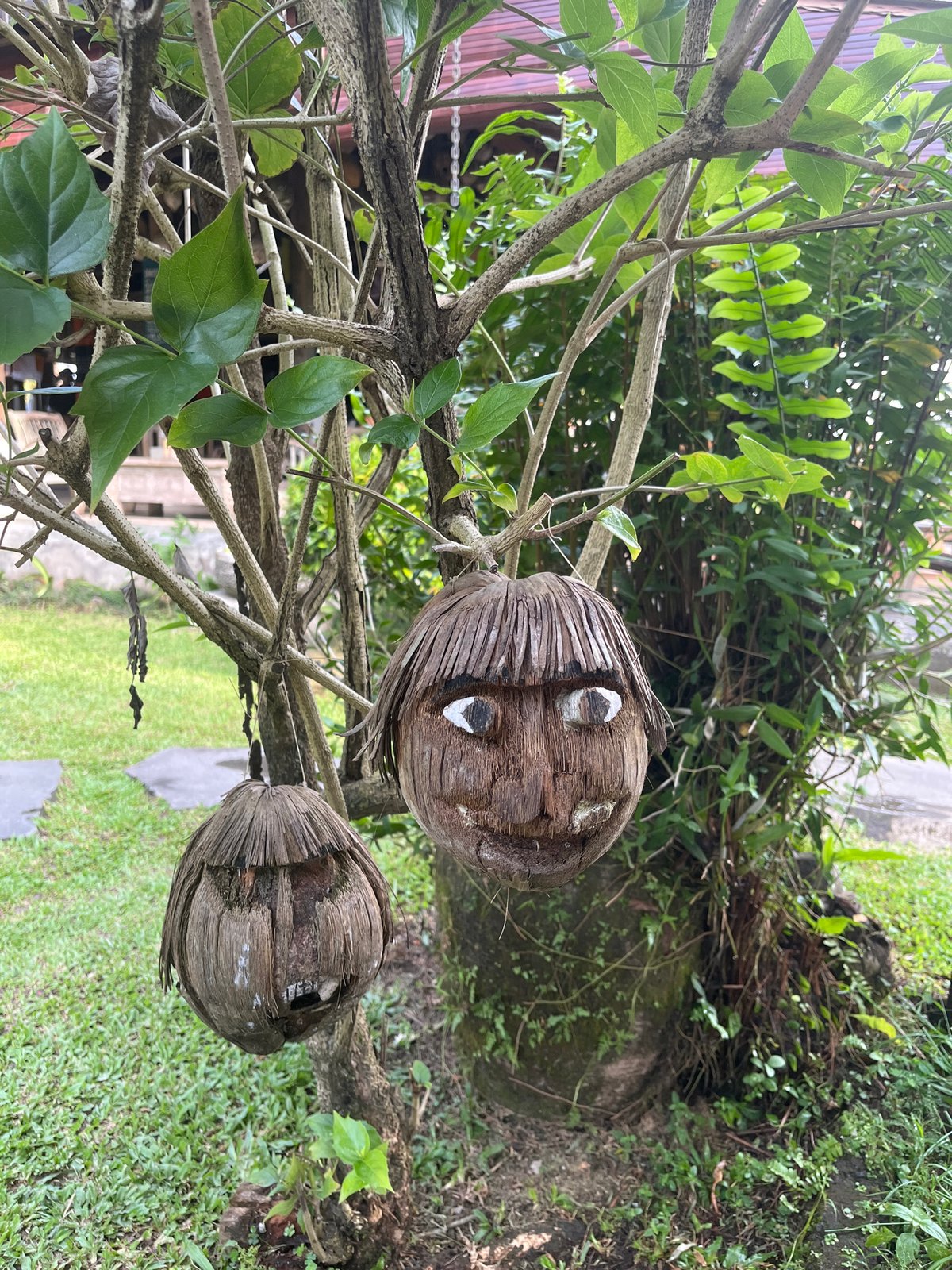 Tourist captures everyday moments during Ubud visit