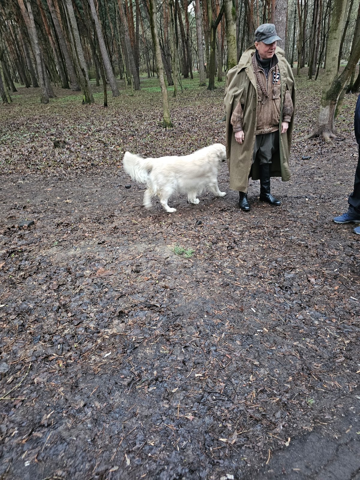 Quiet afternoon moments captured in Khimki forest and entrance