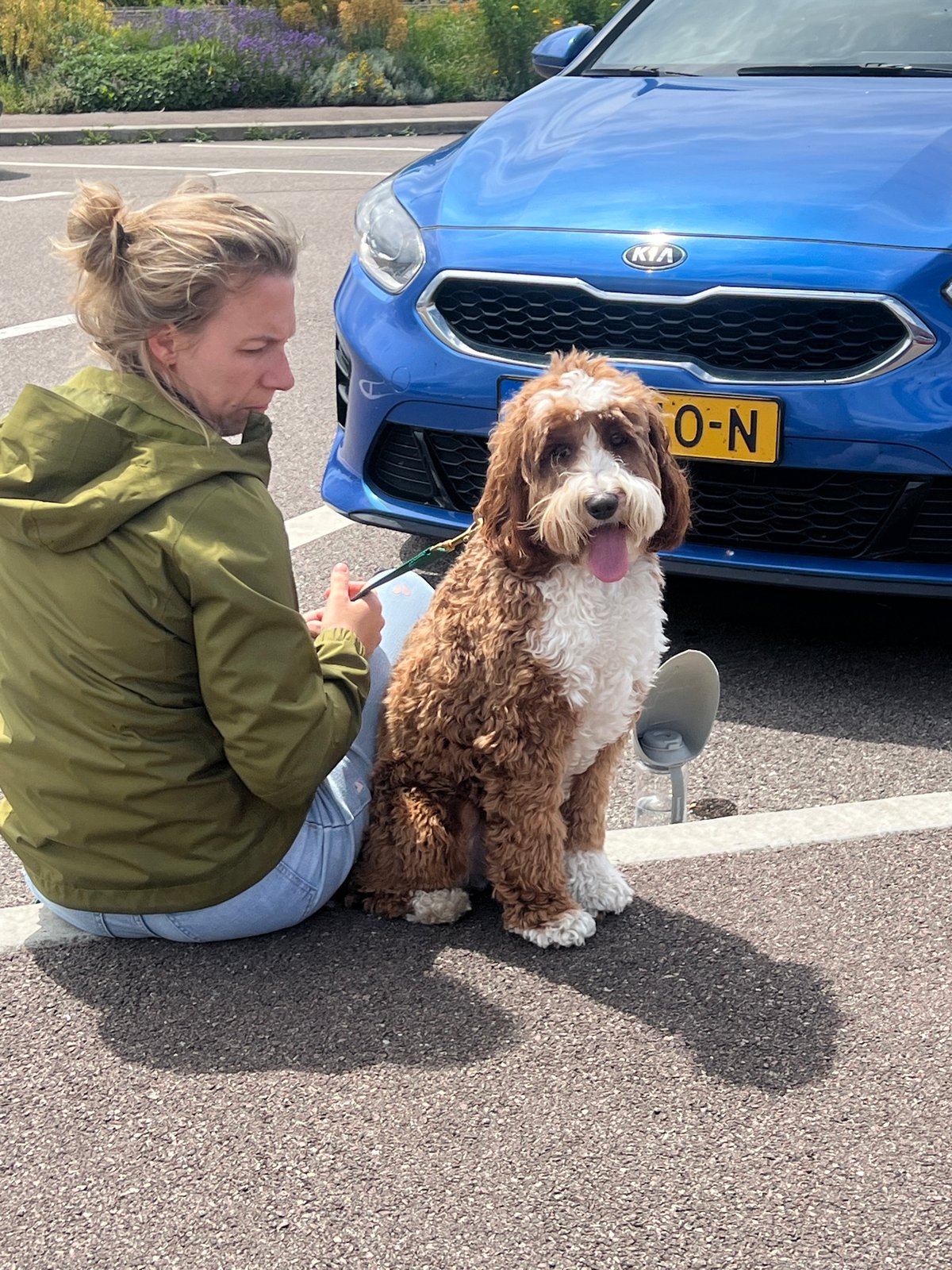 Woman with dog observed in Bosgouet parking area