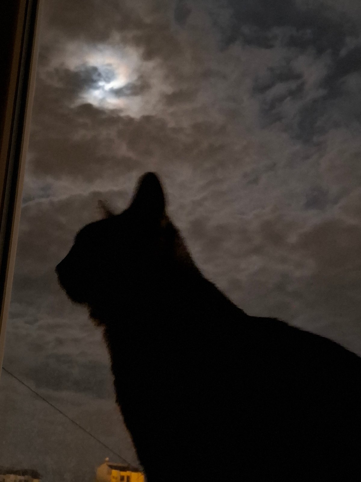 Cloudy moonlit night observed from windows in Novi Sad