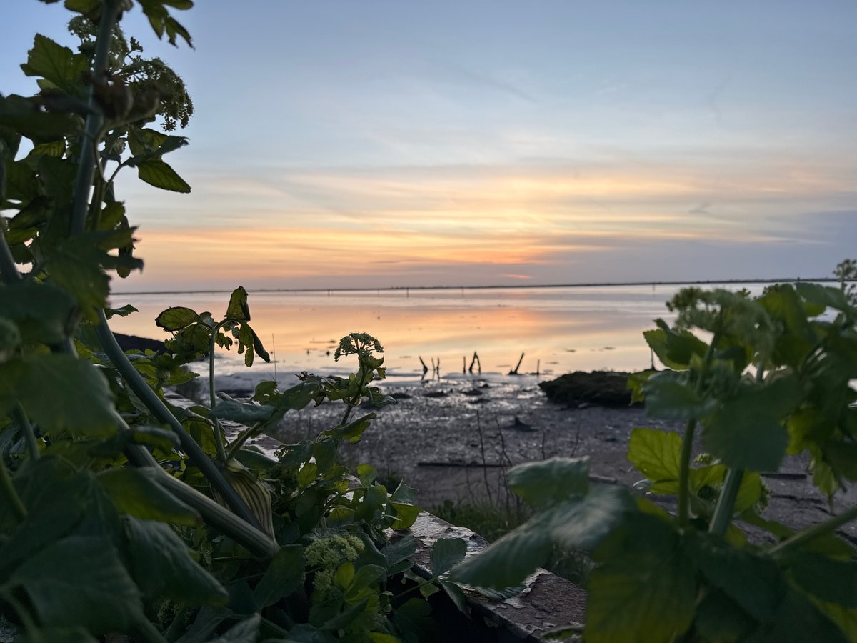 Peaceful sunset observed at Gorleston-on-Sea coastal area