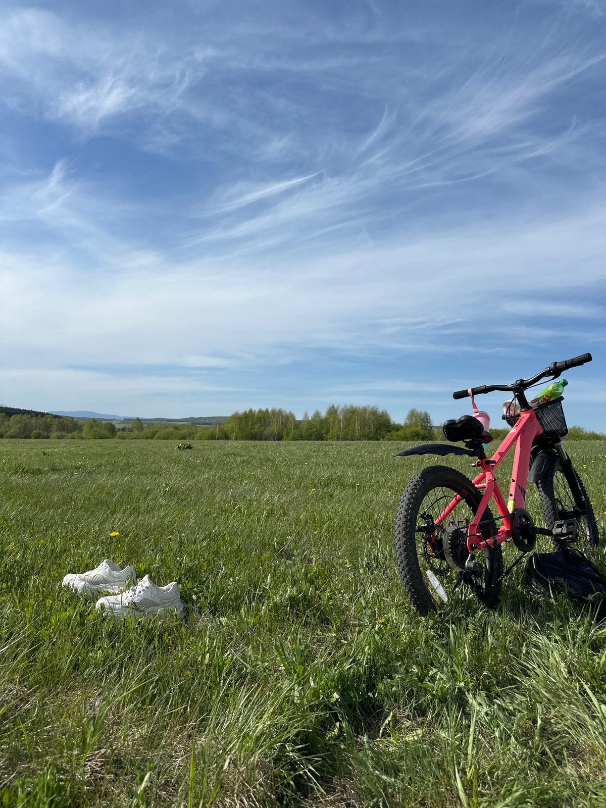 Spring day gathering in rural meadow with bikes, relaxation