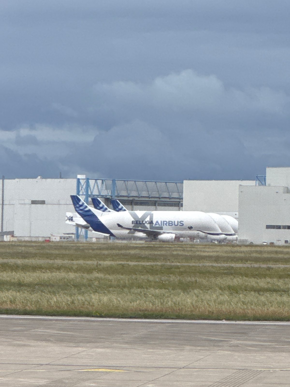 Beluga Airbus aircraft spotted on ground in Blagnac, France