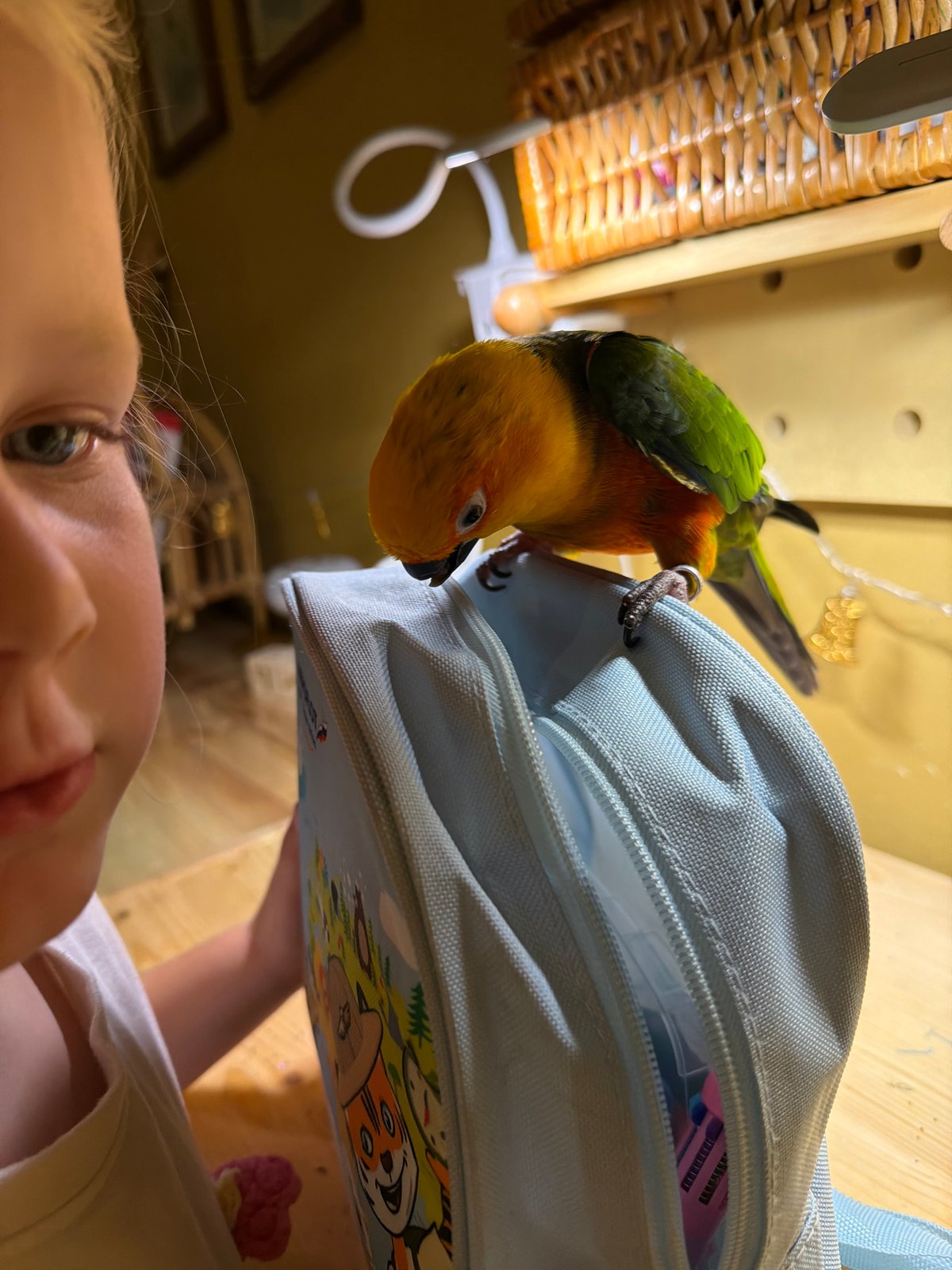 Lazy afternoon at home with a parrot in Khimki