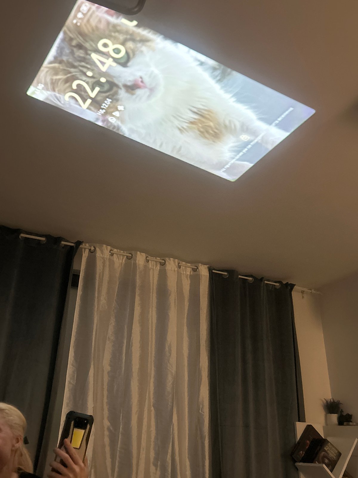 Sofia resident documents cat projection, Easter basket, Harry Potter decor
