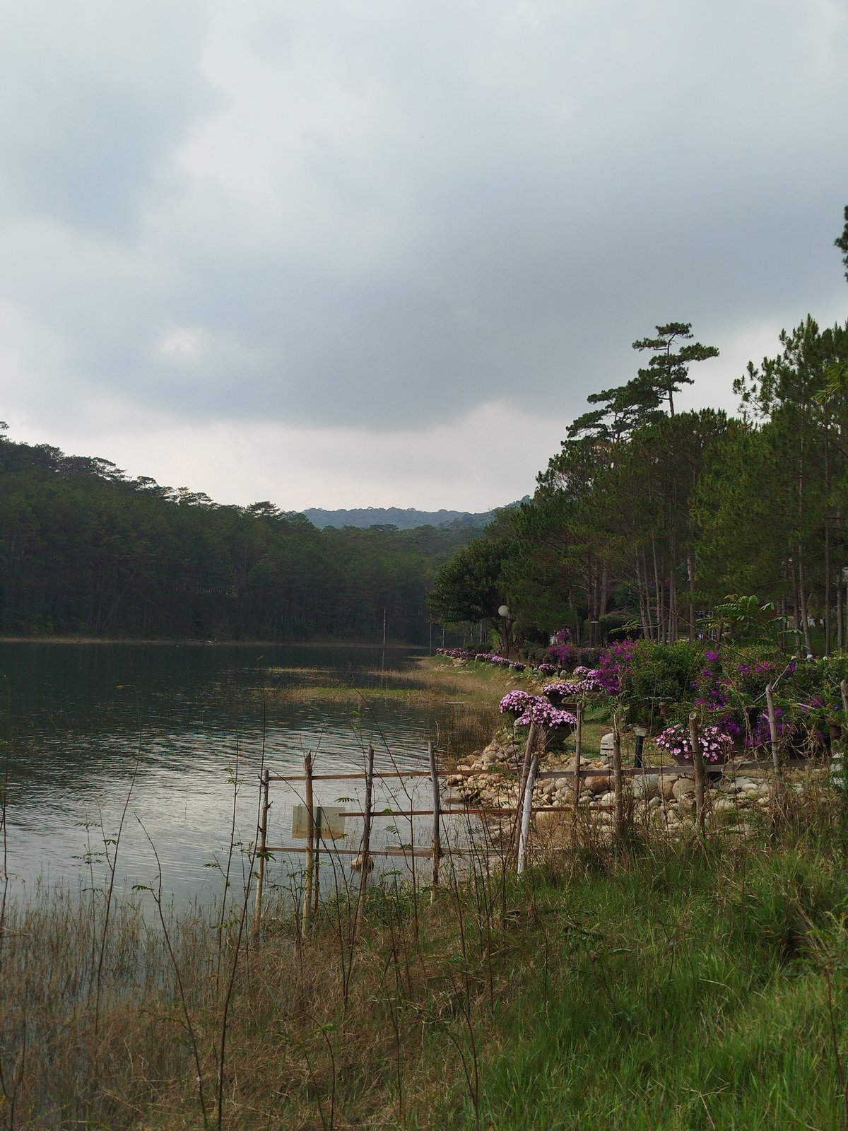 Tourist spots and wildlife documented in Da Lat morning tour