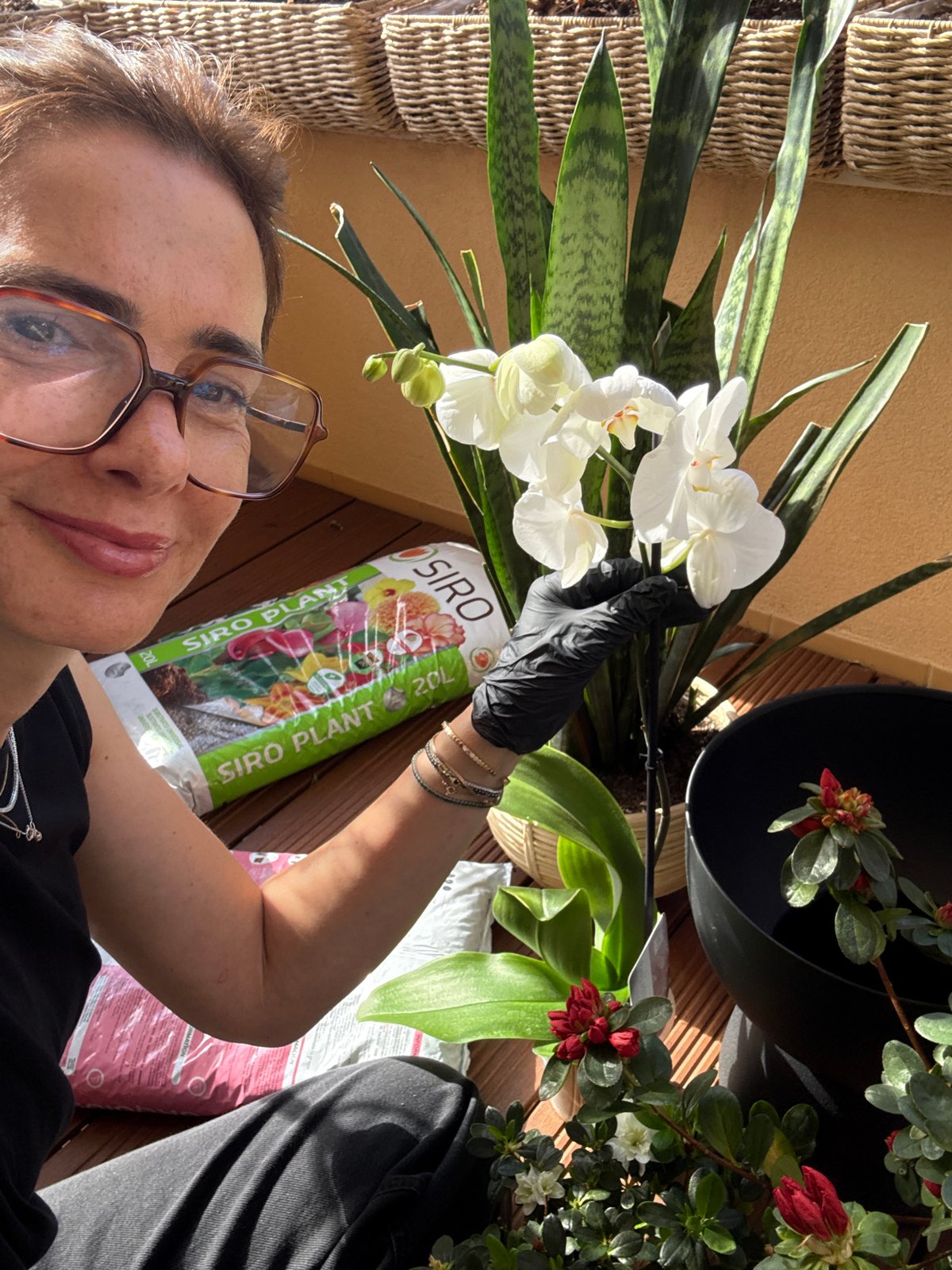 Woman gardens on sunny balcony in Vila Nova de Gaia