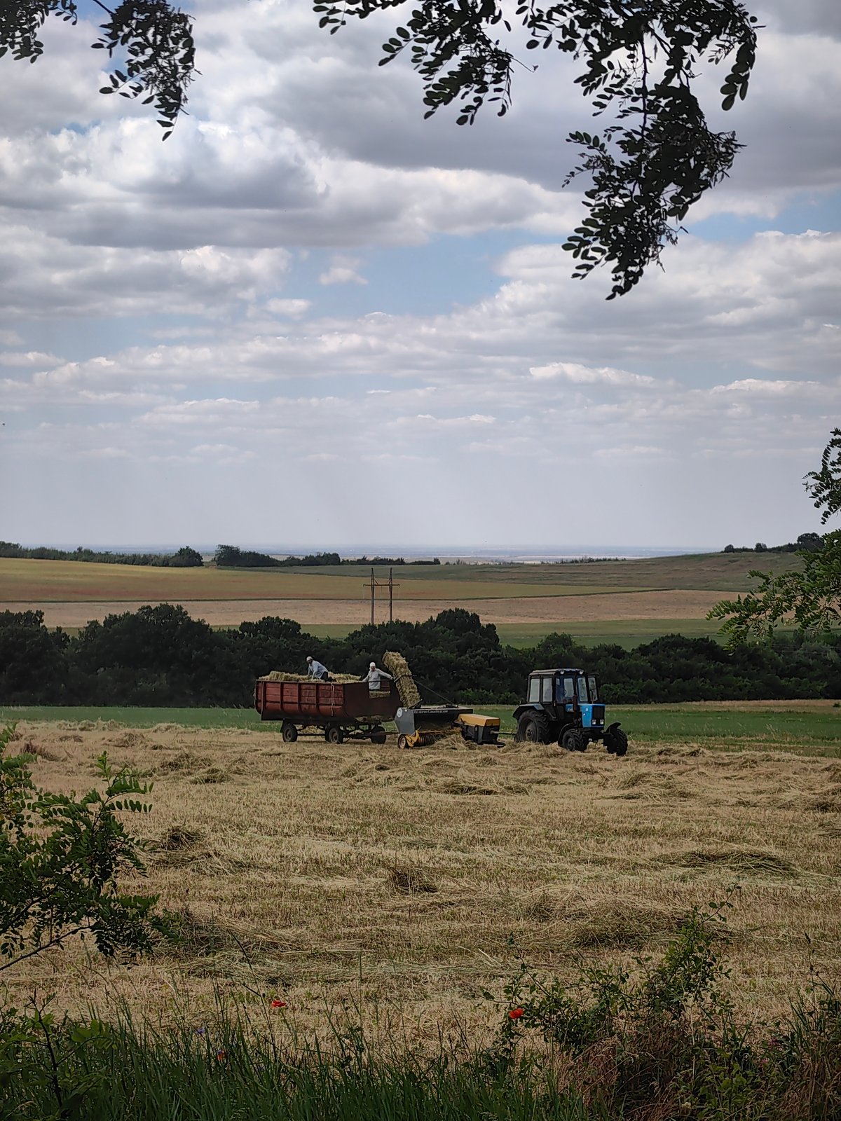 Hay season in a Crimean village, with rubles and a bike nearby