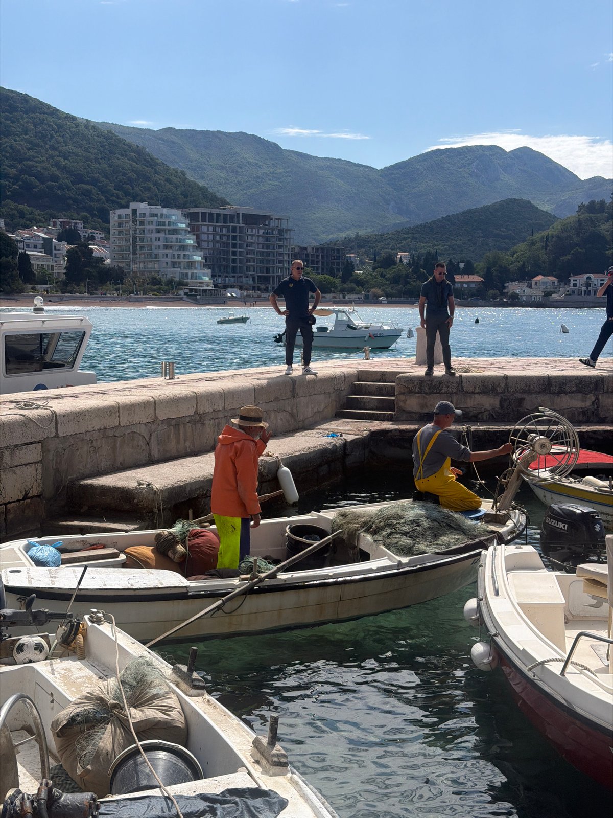 Dog walks pier amid fishing boats in Montenegro marina