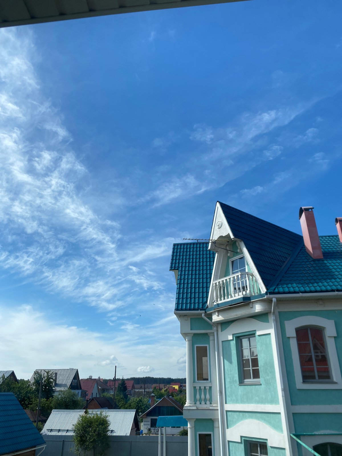 Morning observations document Chaikovsky residential area and bee pollination