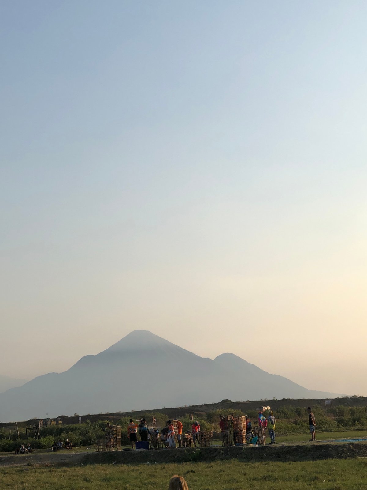 Rural East Java morning: markets, buffalo, and farmland in motion