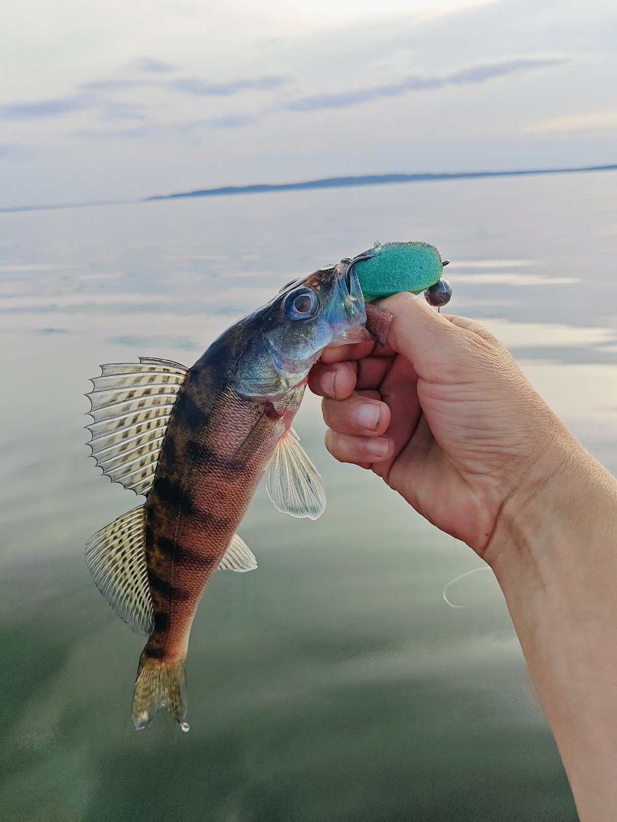 Afternoon fishing on the Kama River, Chaykovsky