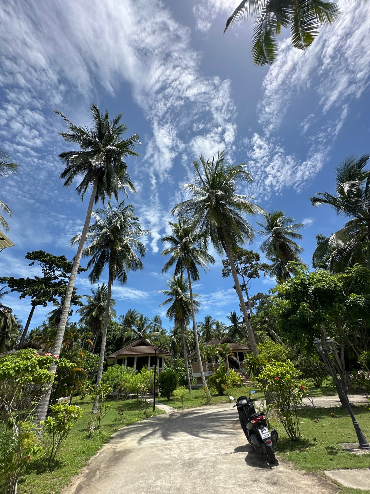 Morning stroll captured along tropical resort pathway in Thailand