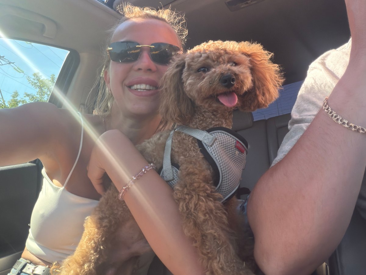 Cruising Kyiv with a poodle, sunroof open on a summer afternoon