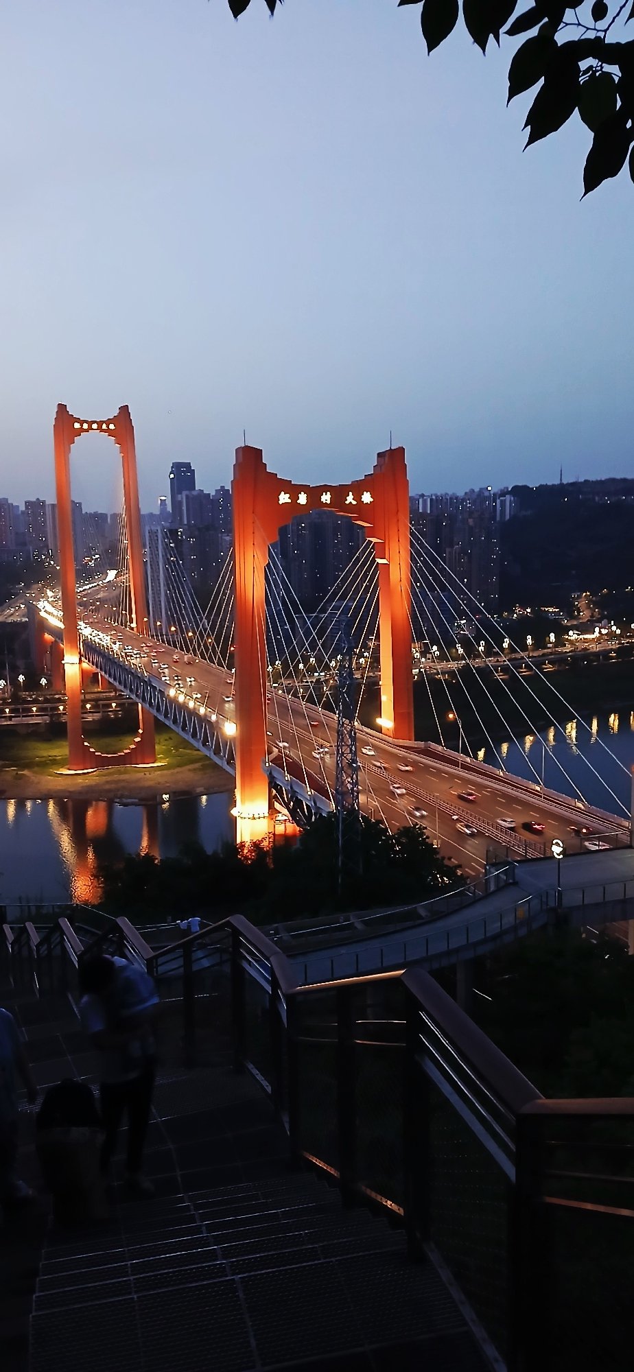 Evening photography session captures illuminated Chongqing cityscape and transport