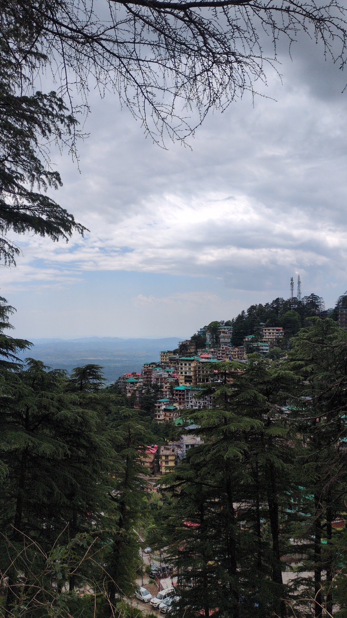 Morning views capture sleeping dog, hillside town in Bhagsu