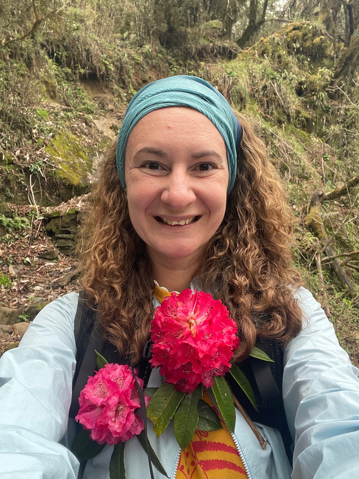 Hikers encounter yaks, mules on Himalayan trails near Lumle