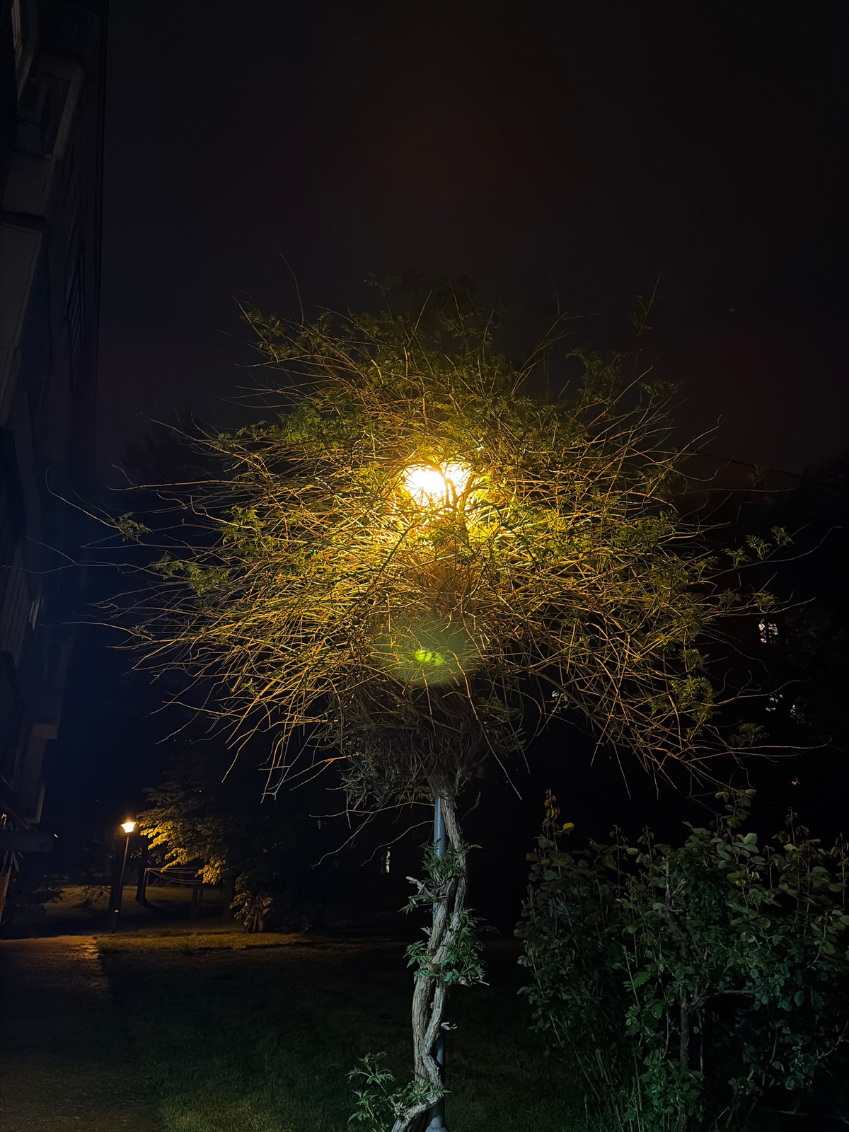 Evening streetscape documentation in Belgrade's Vozdovac district