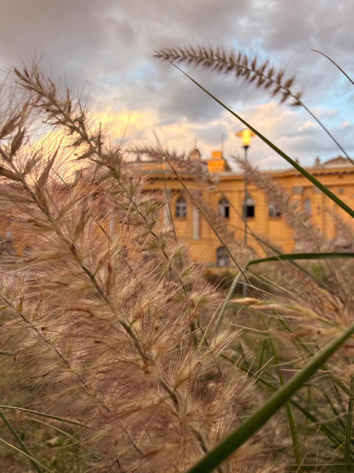 Grounds and architecture of Széchenyi Baths at golden hour
