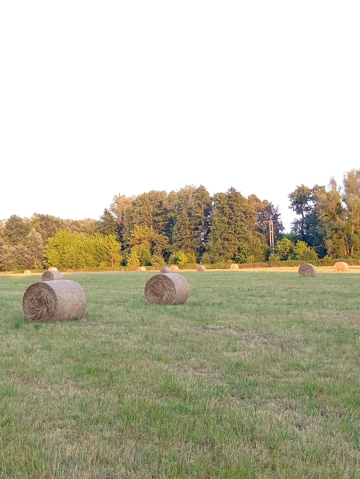 Sitting on a hay bale in a sunlit Polish field