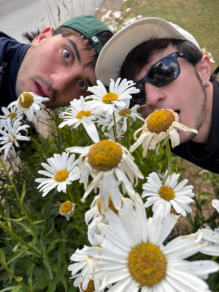 Young men explore daisy fields, roads near Bariloche, Argentina