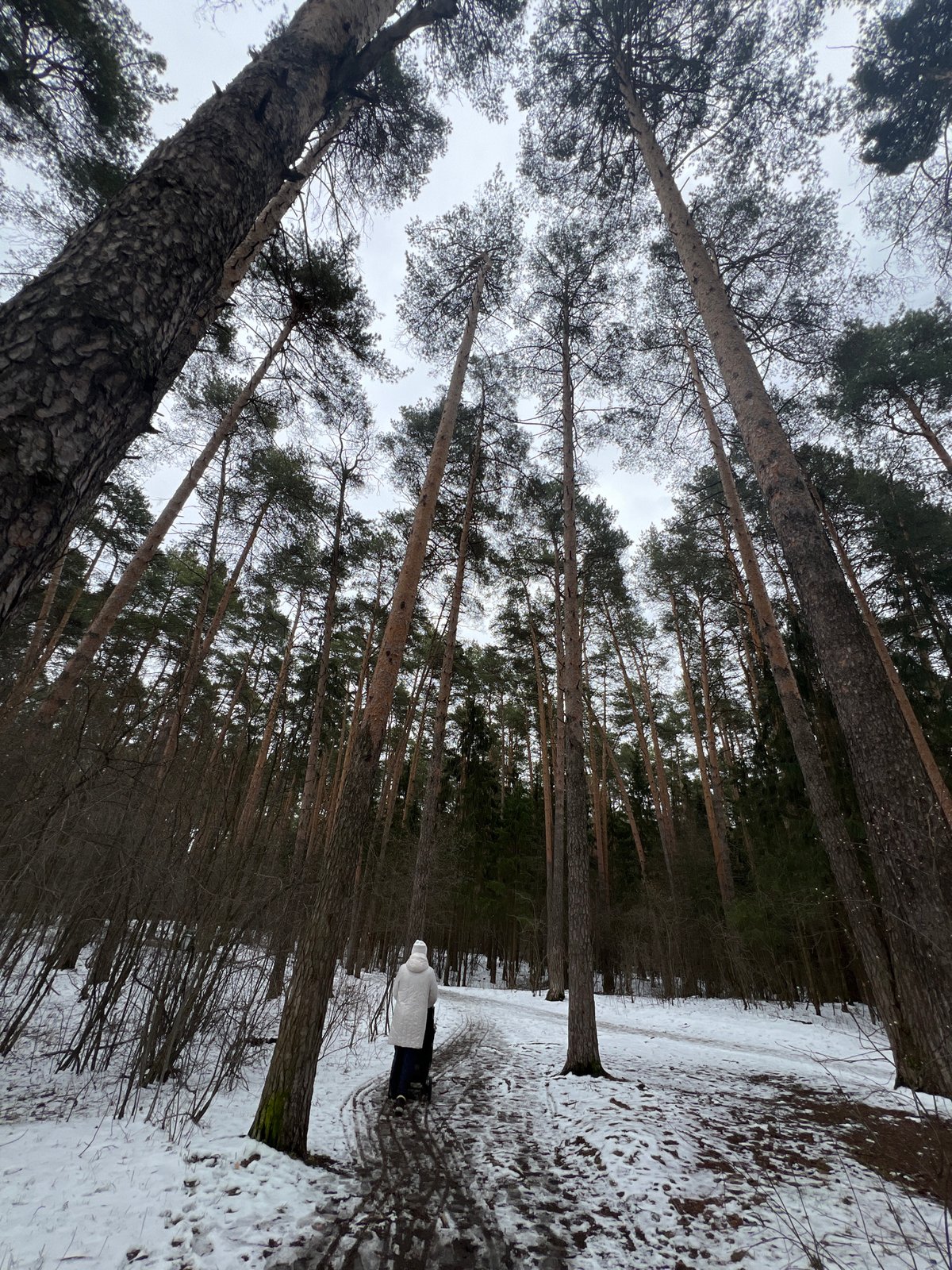 Family enjoys spring park outing in Perm, Russia